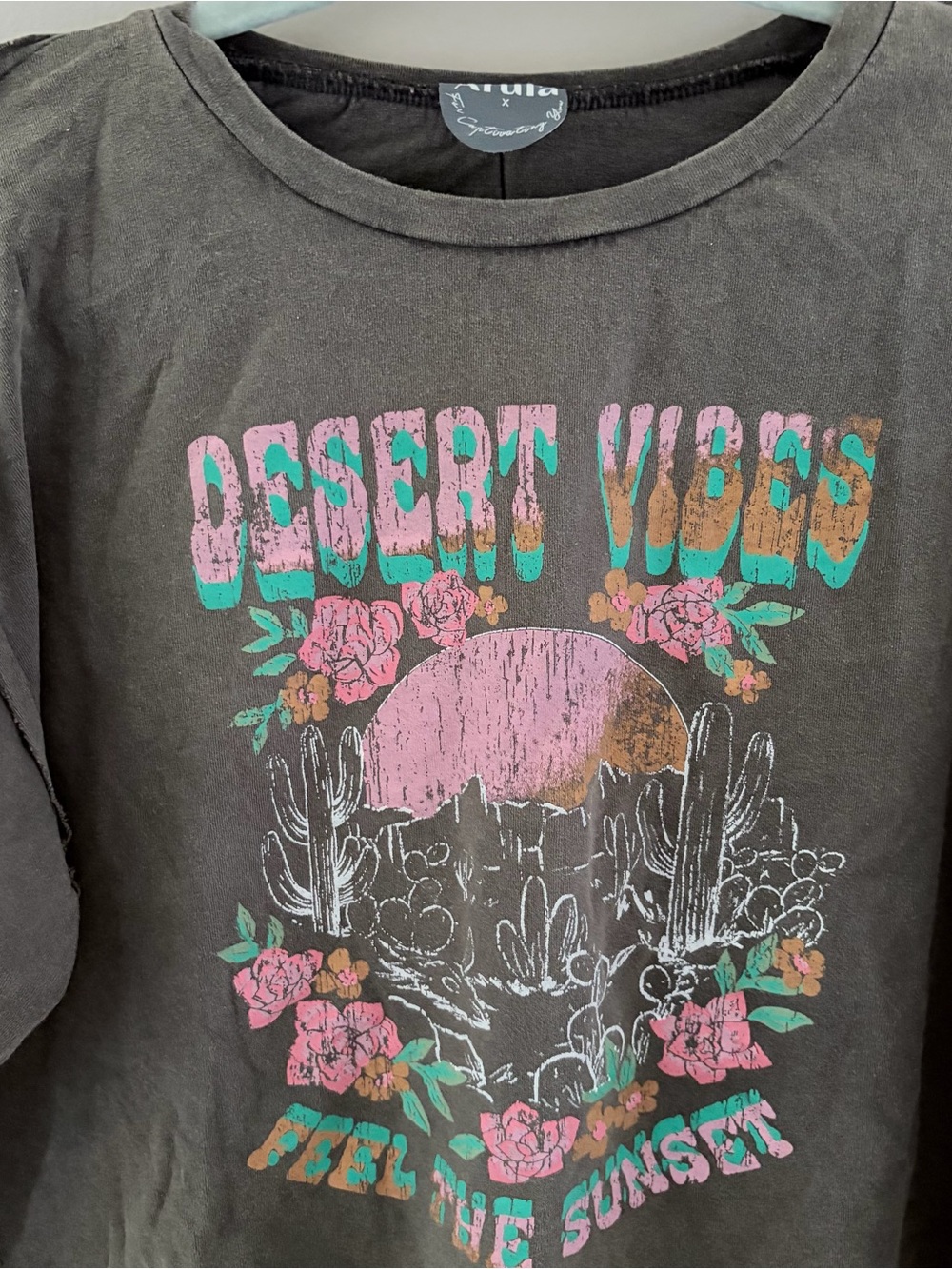 Arula Desert Vibes Cropped Graphic Tee Size X Gray Boho Western - Picture 2 of 7